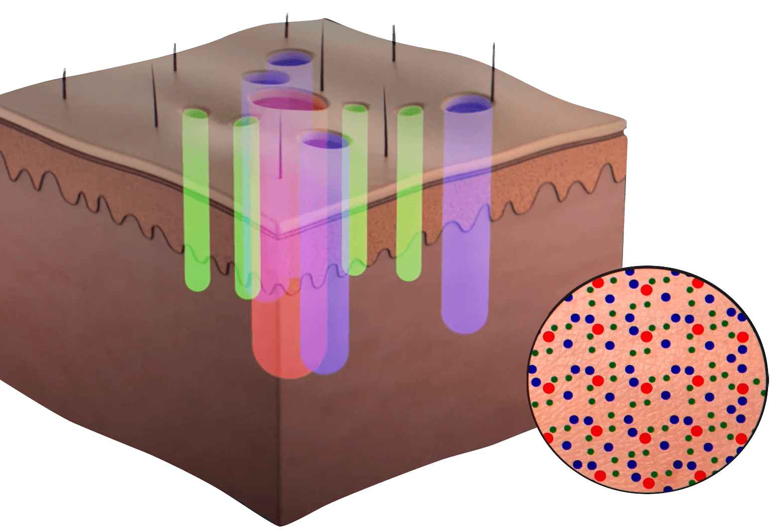 3d-cct-2-2